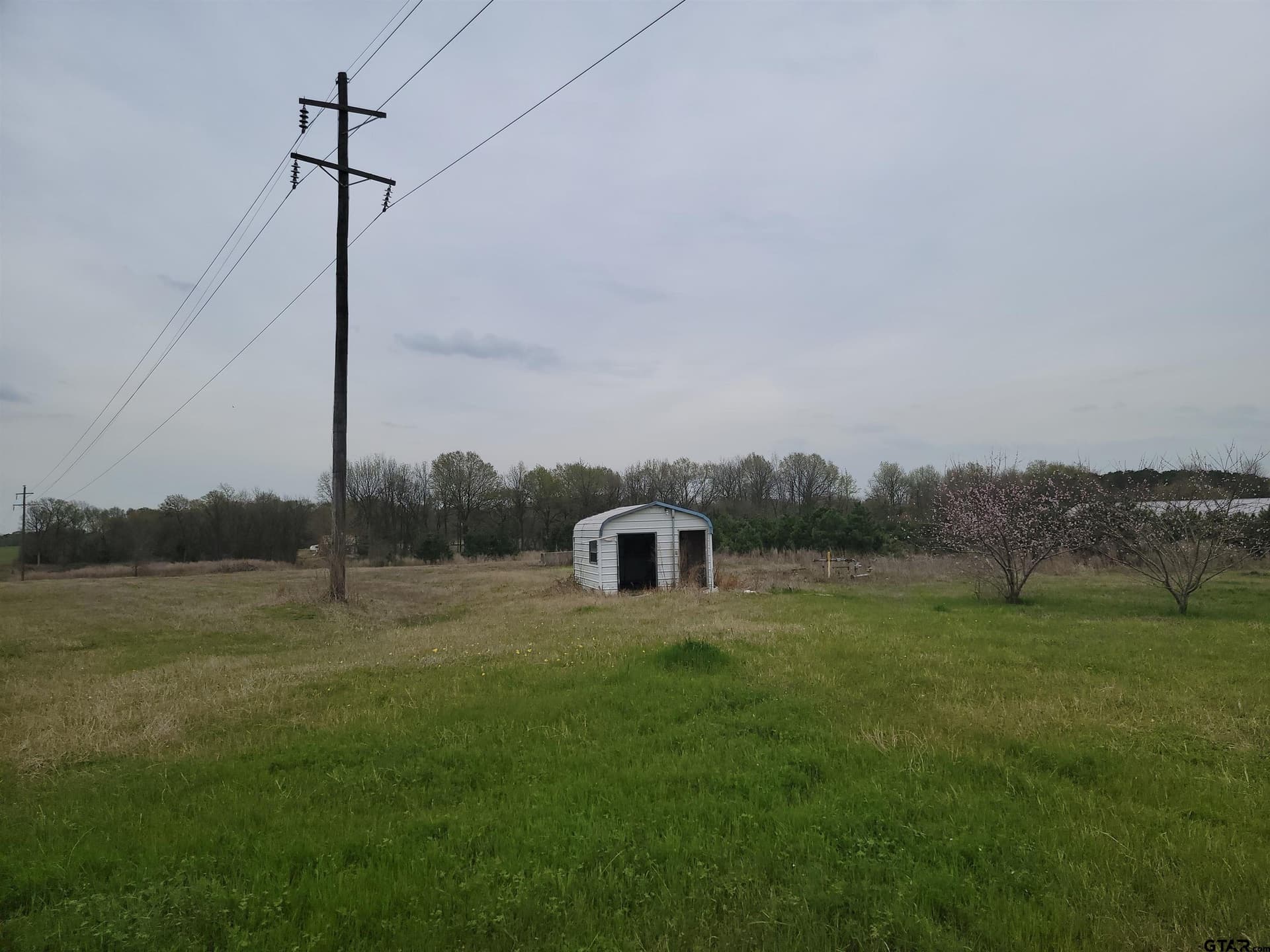 80.11 acres in Camp County - photo 18