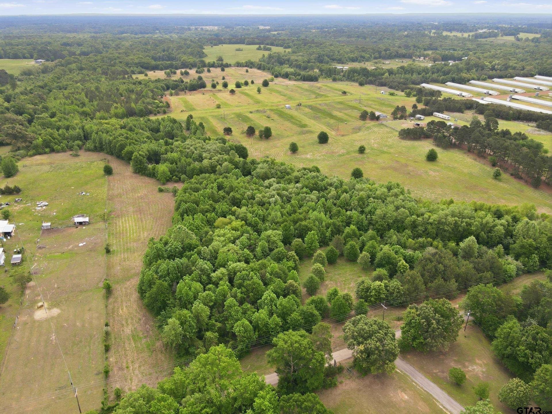 80.11 acres in Camp County - photo 9