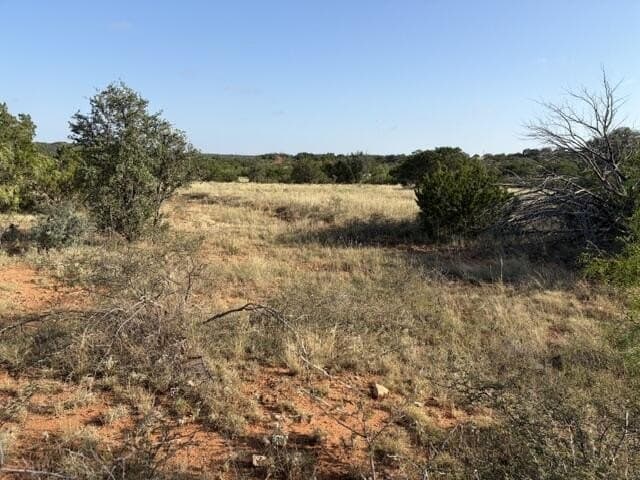 85.26 acres in Coke County - photo 30