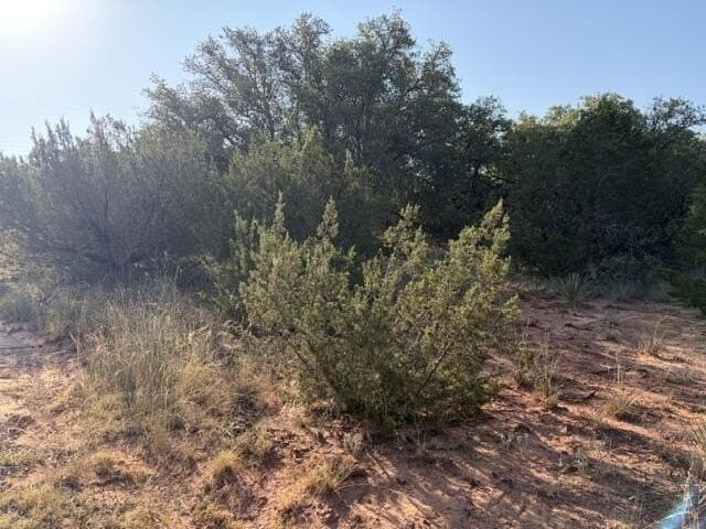85.26 acres in Coke County - photo 24