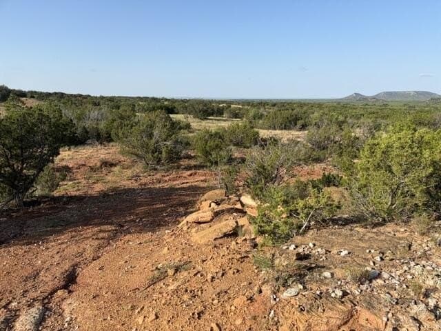 85.26 acres in Coke County - photo 29