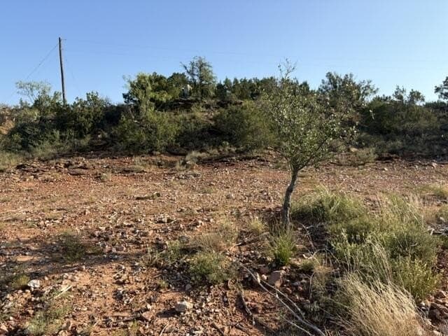 85.26 acres in Coke County - photo 32