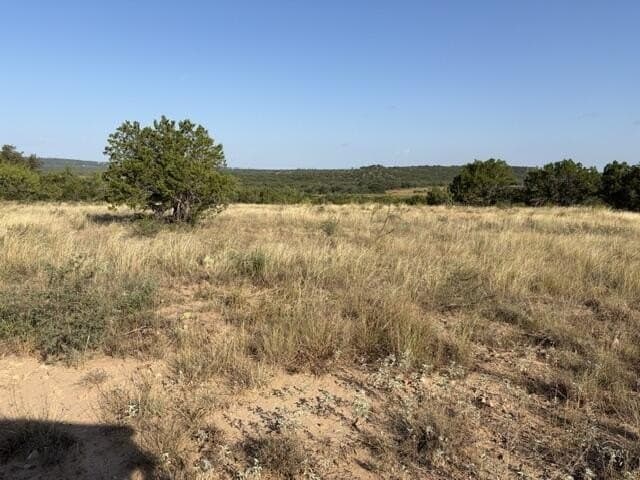 85.26 acres in Coke County - photo 33