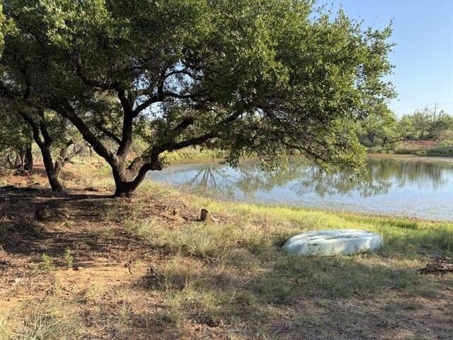 85.26 acres in Coke County - photo 4