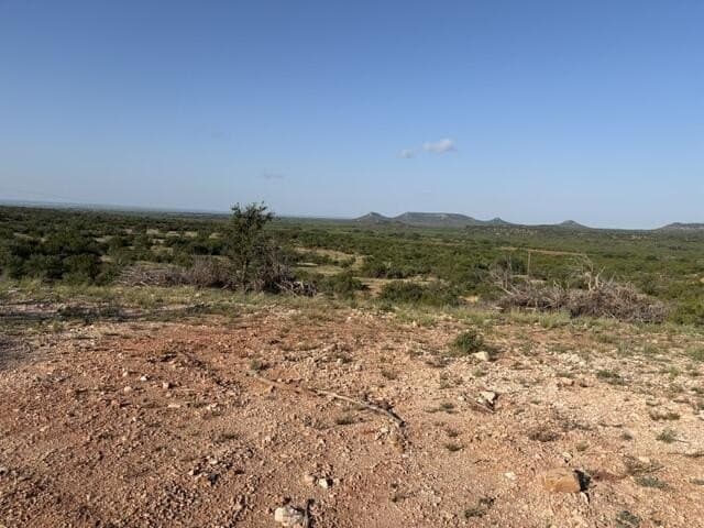 85.26 acres in Coke County - photo 27