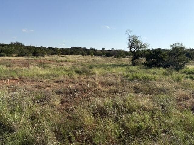 85.26 acres in Coke County - photo 31