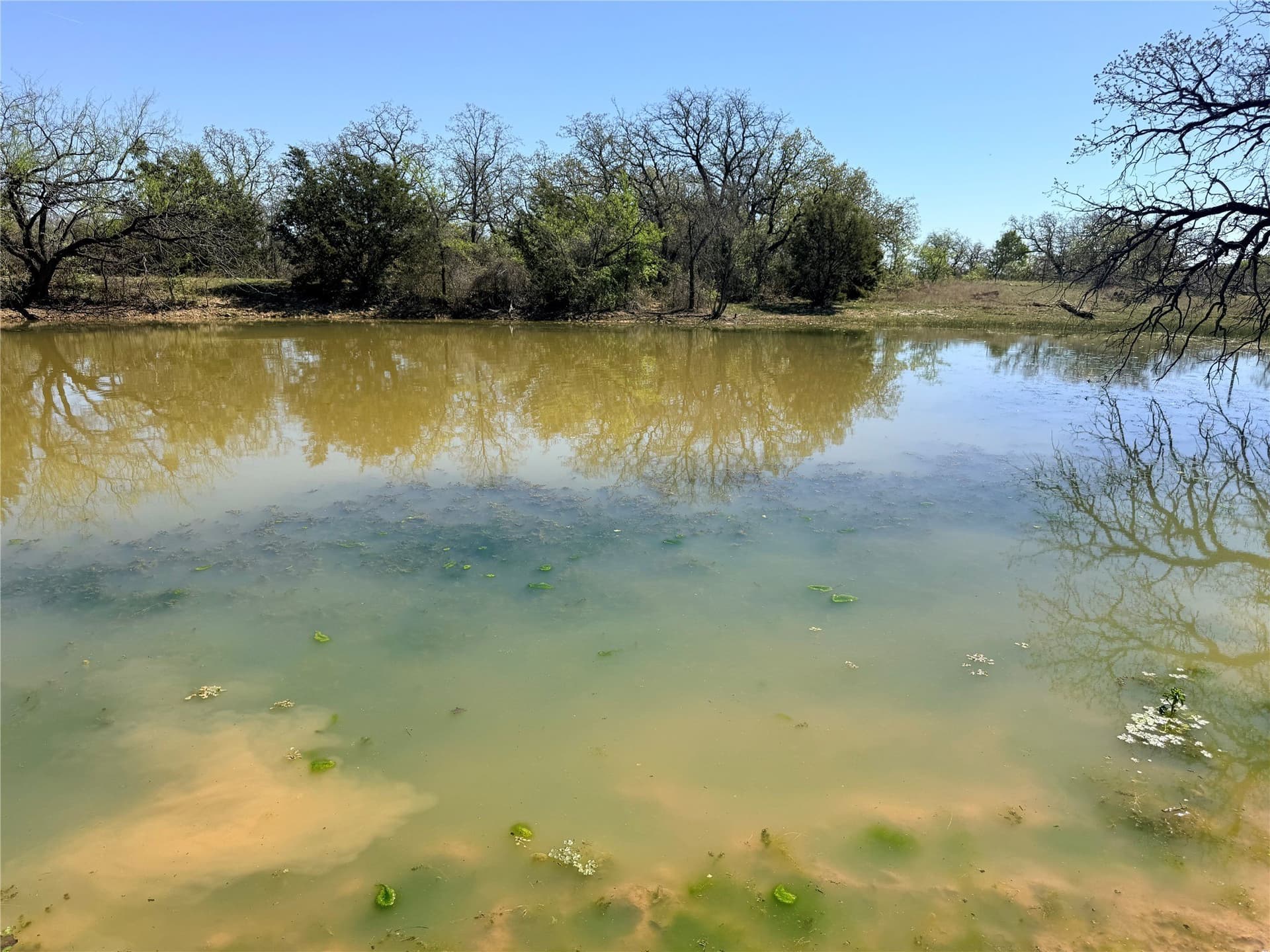 31.84 acres in Jack County - photo 11