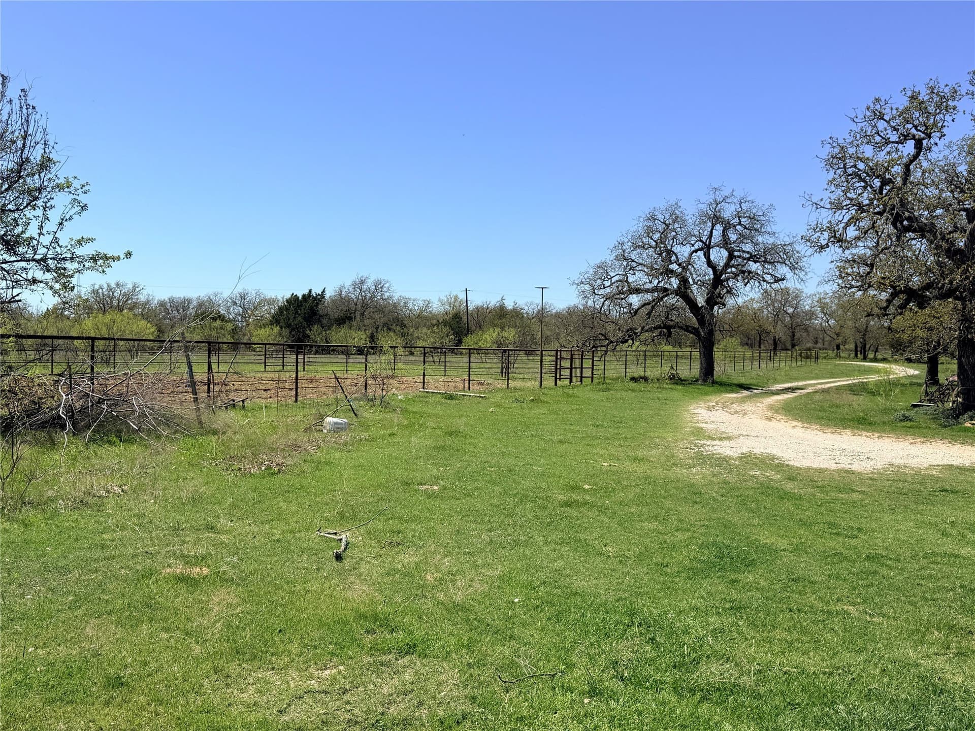31.84 acres in Jack County - photo 3