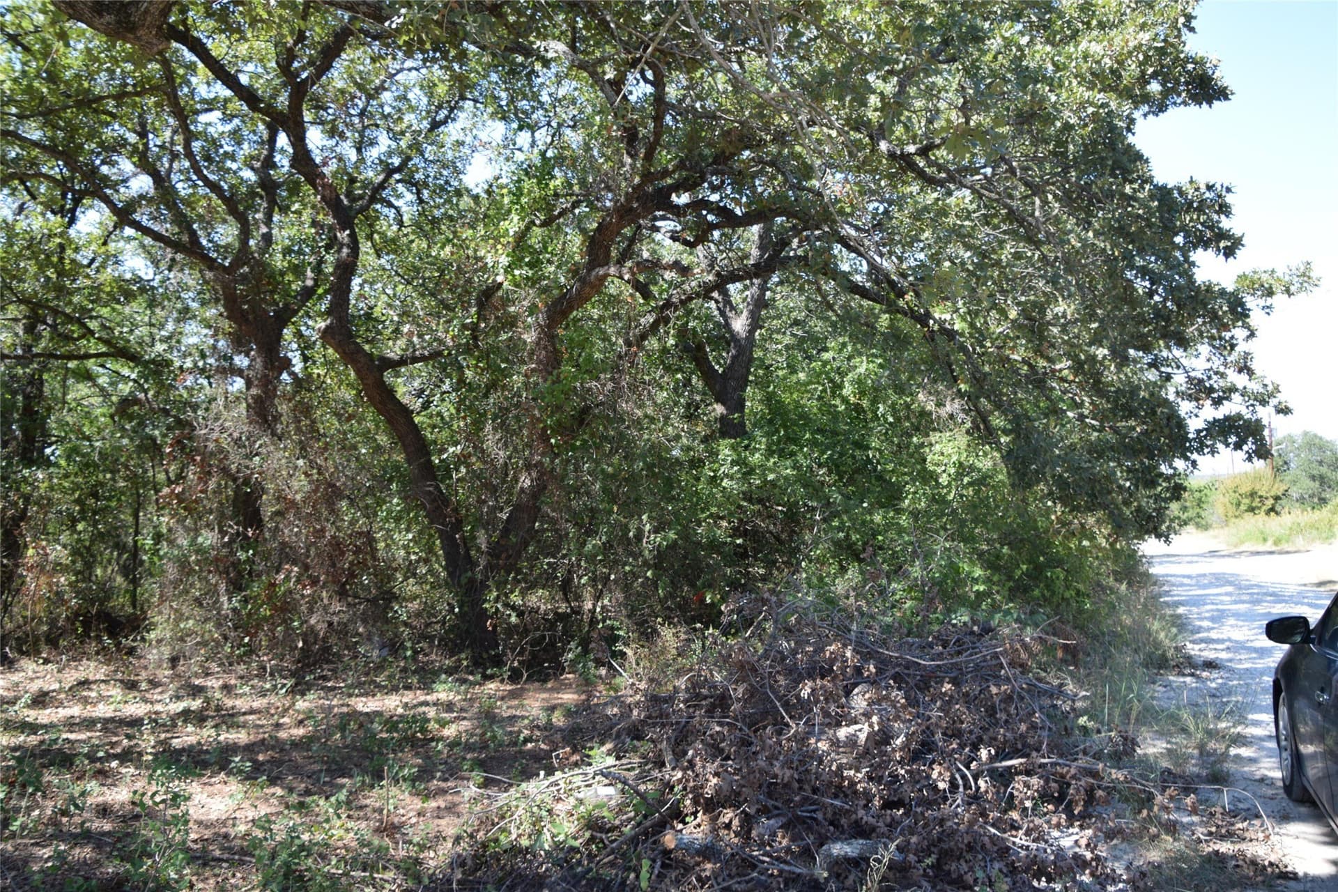 0.12 acres in Montague County - photo 5