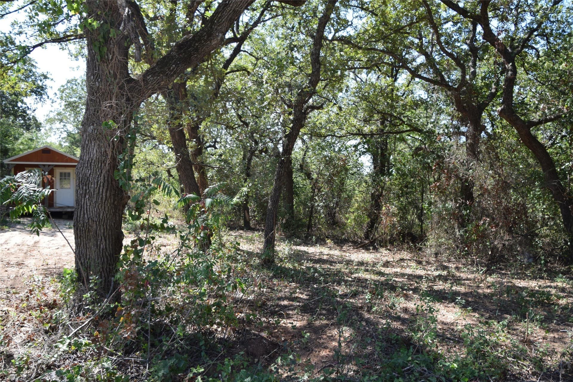 0.12 acres in Montague County - photo 2