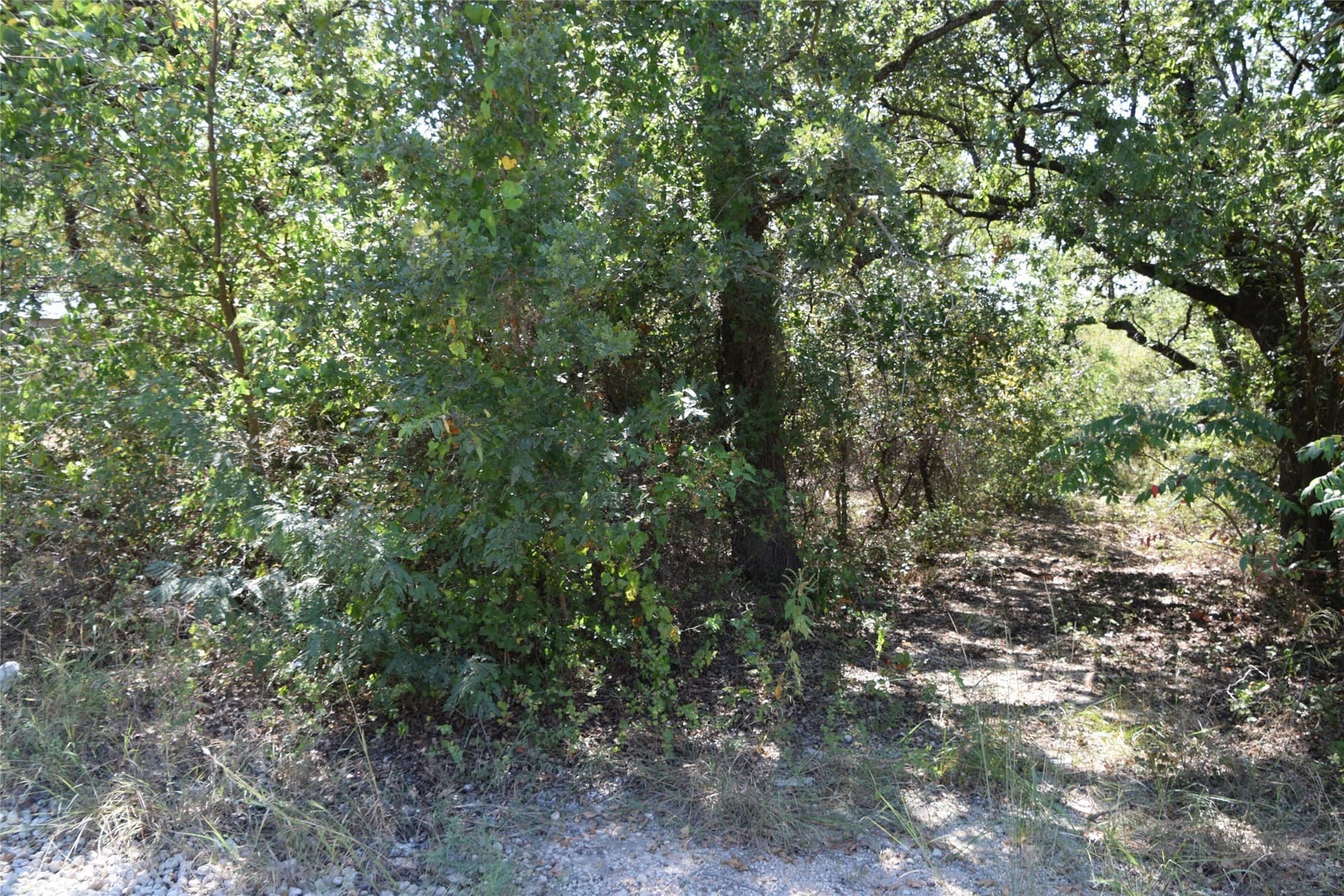 0.12 acres in Montague County - photo 6