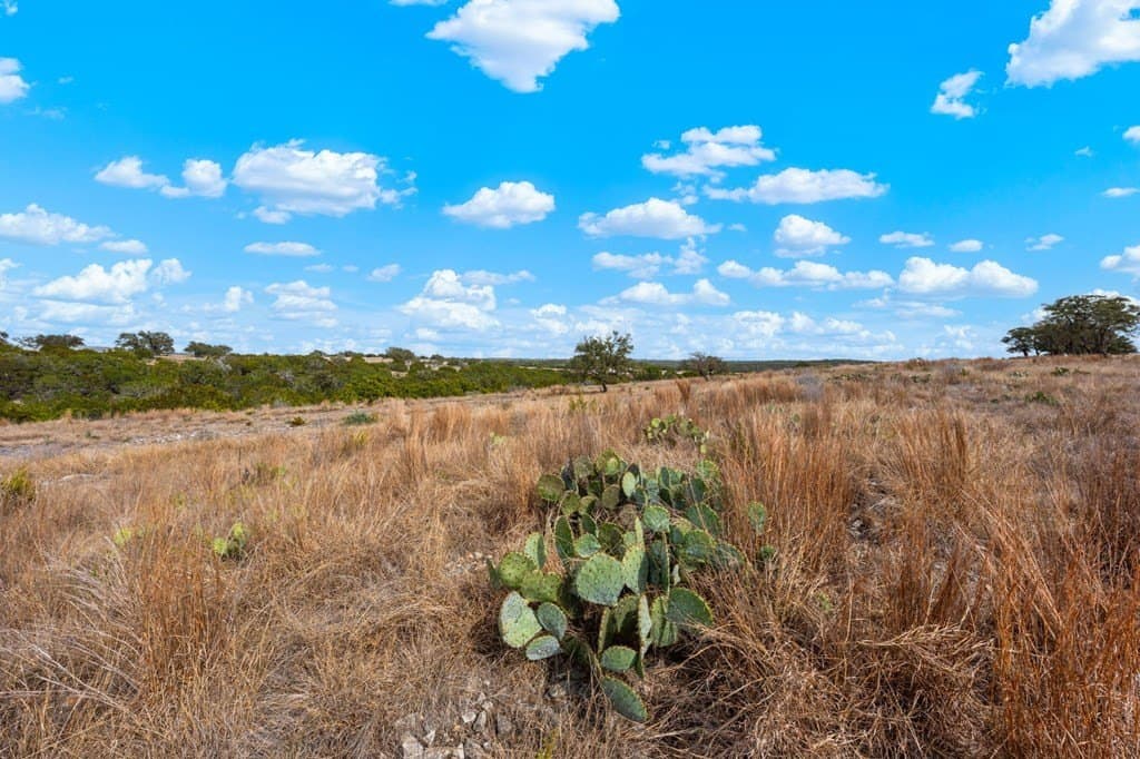 3.08 acres in Gillespie County - photo 7
