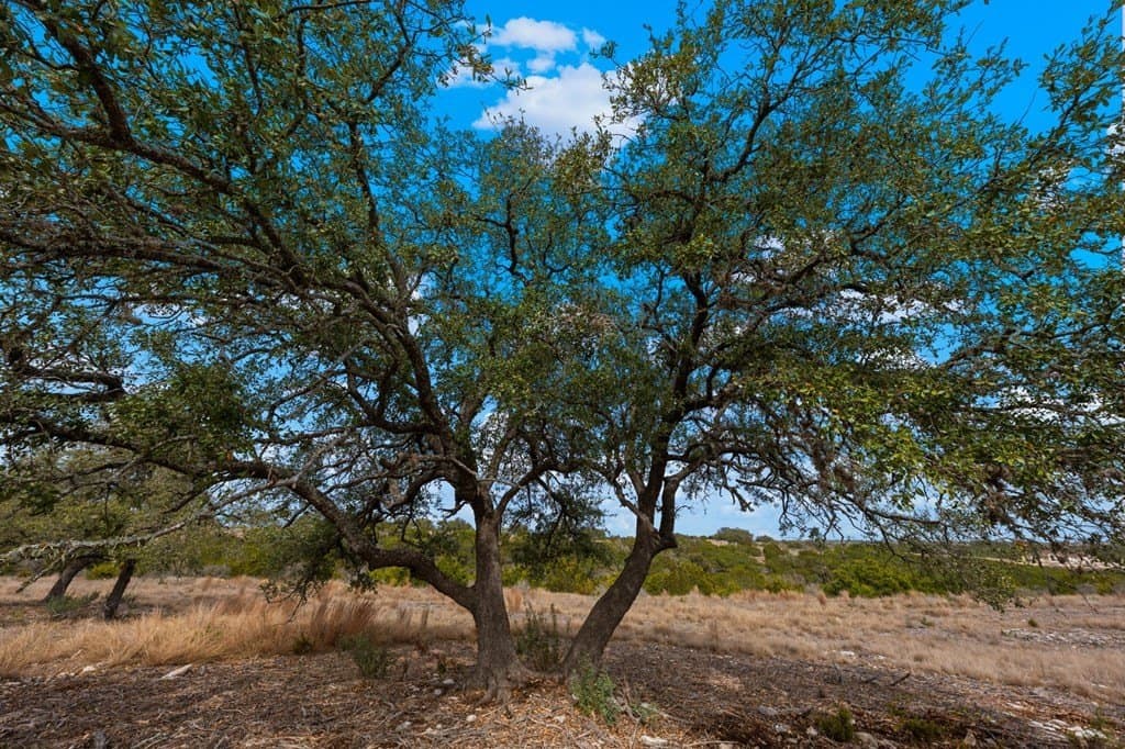 3.08 acres in Gillespie County - photo 8