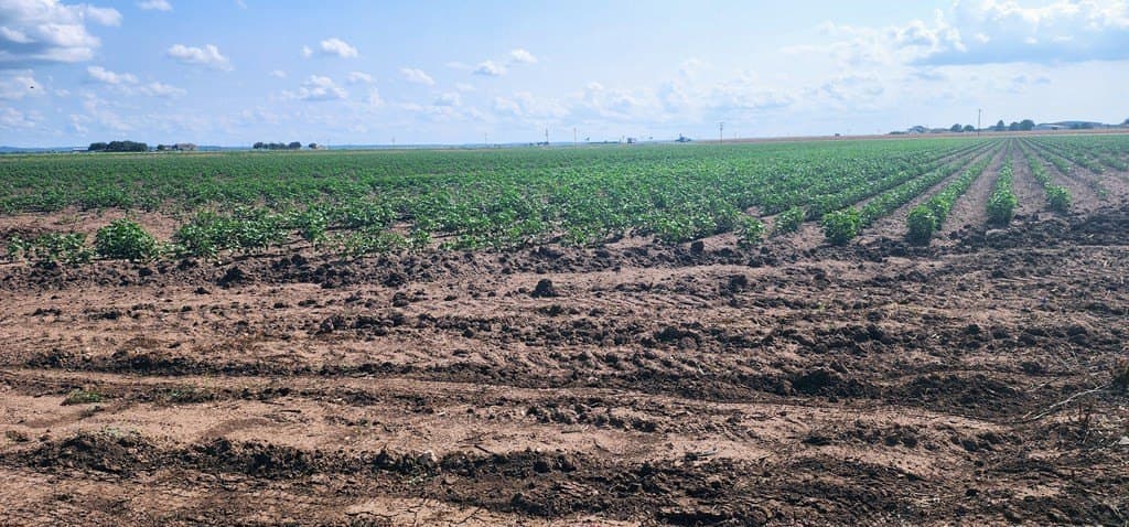 13.74 acres in Tom Green County featured view