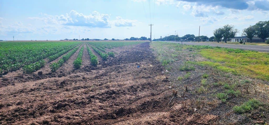 13.74 acres in Tom Green County gallery image 2