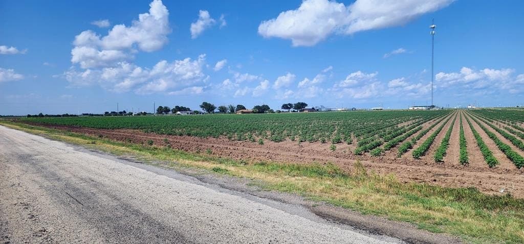 13.74 acres in Tom Green County