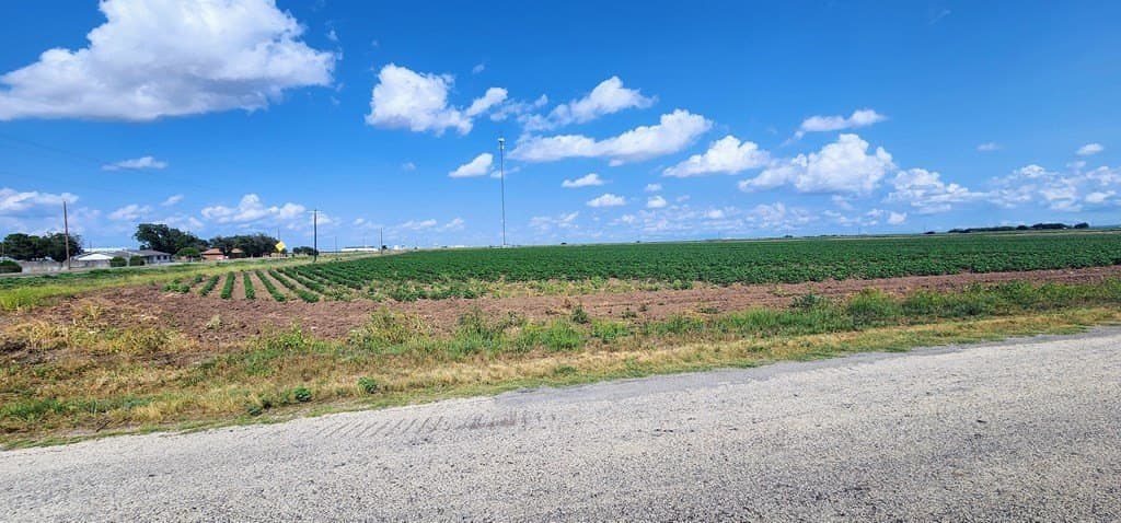 13.74 acres in Tom Green County gallery image 3