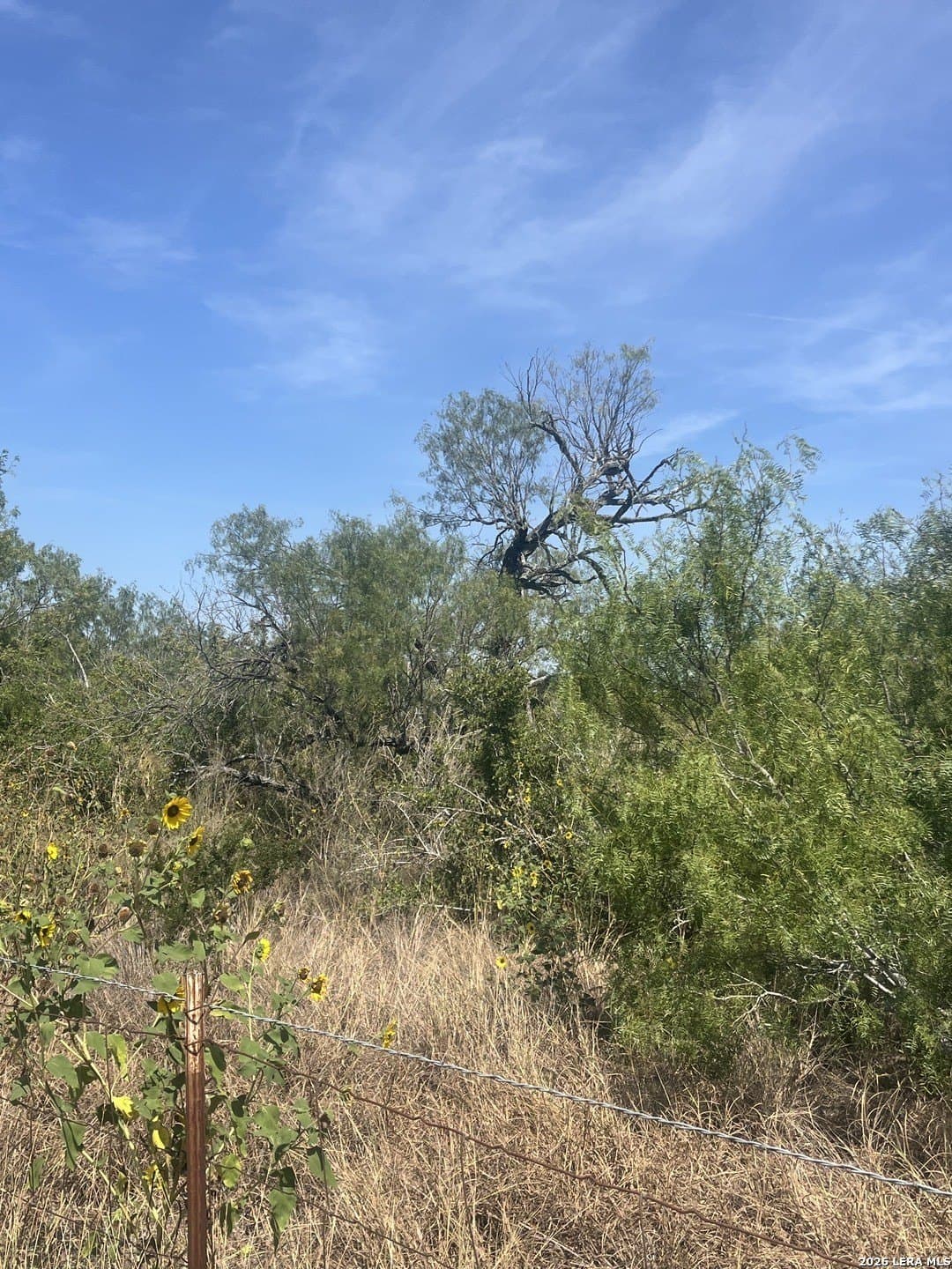2.75 acres in Atascosa County - photo 3