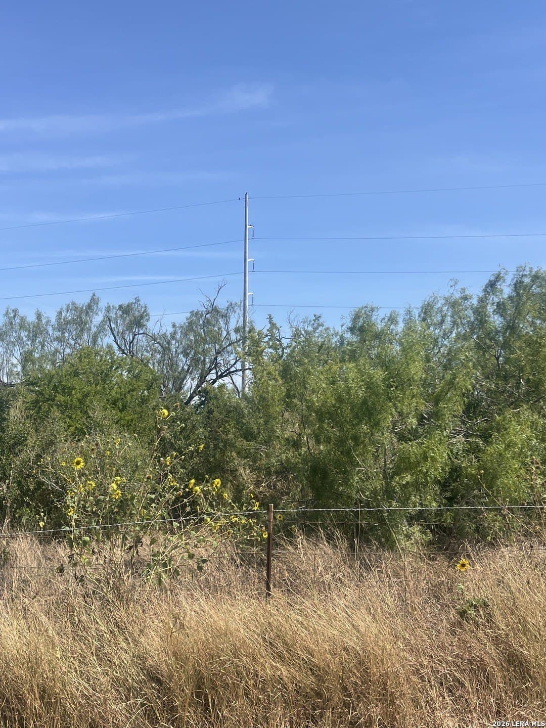 2.75 acres in Atascosa County - photo 5