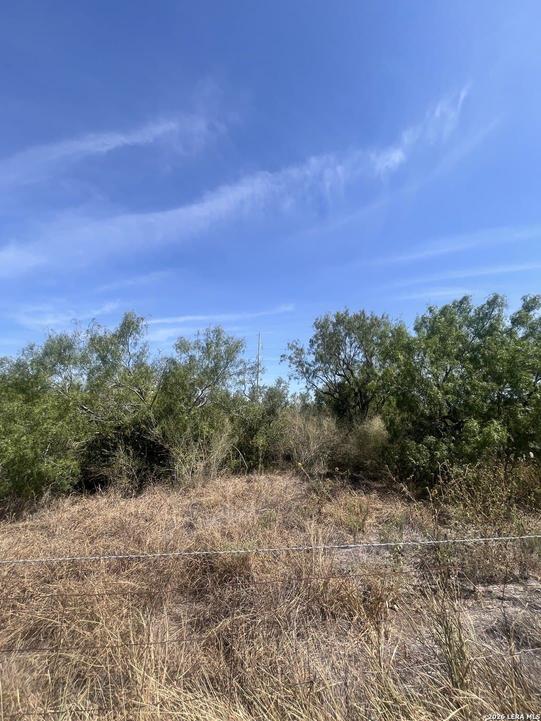 2.75 acres in Atascosa County - photo 4
