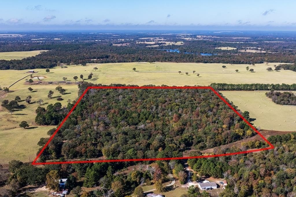 24 acres in Anderson County gallery image 4