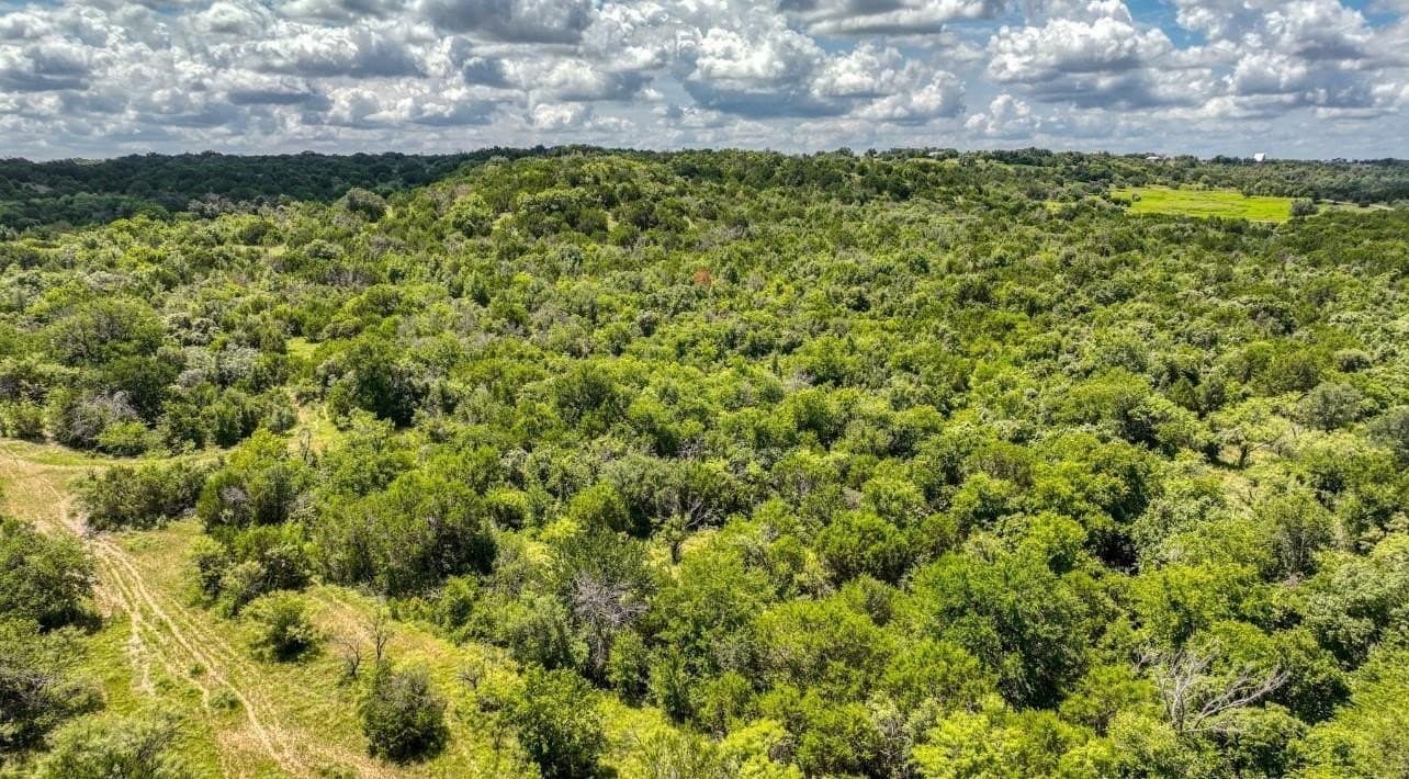 53.09 acres in Erath County - photo 6