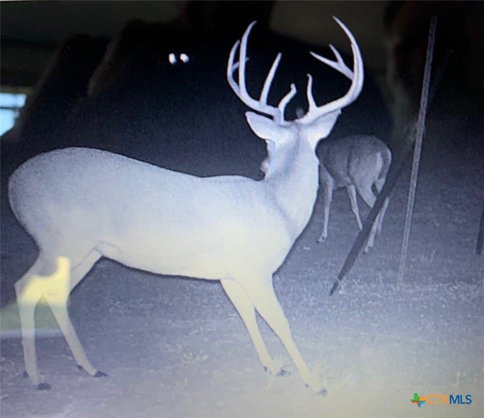 44.97 acres in Gonzales County featured view