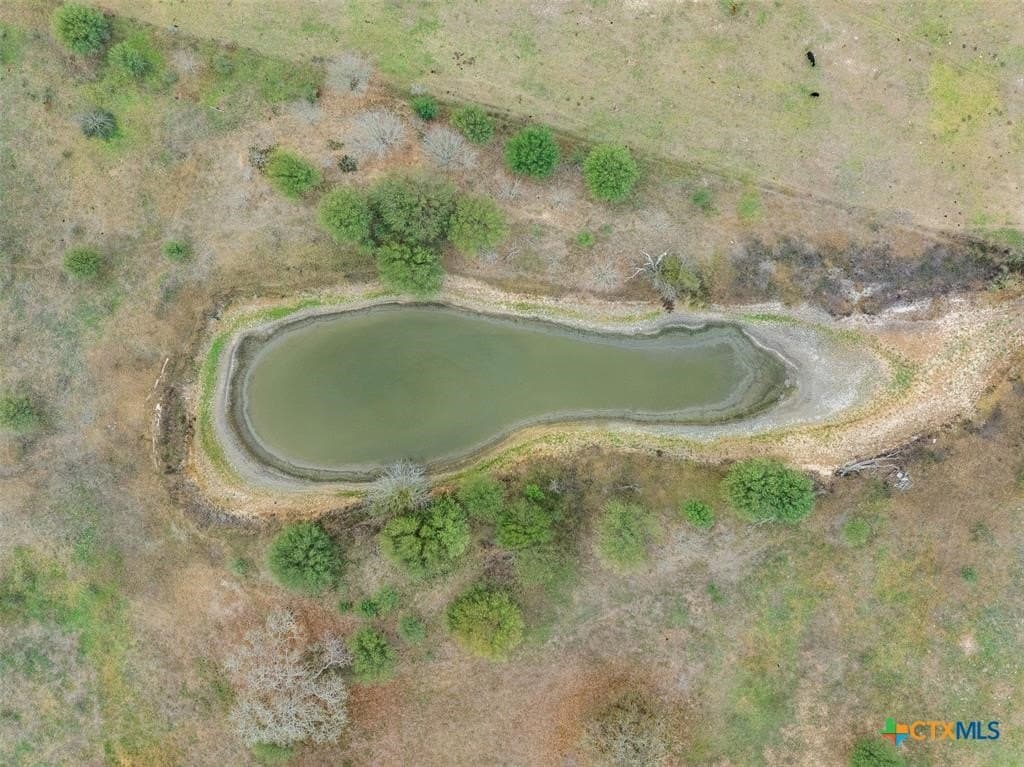 44.97 acres in Gonzales County gallery image 3