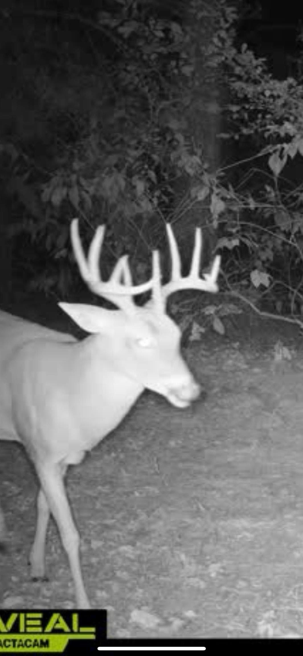 18.18 acres in Cass County featured view