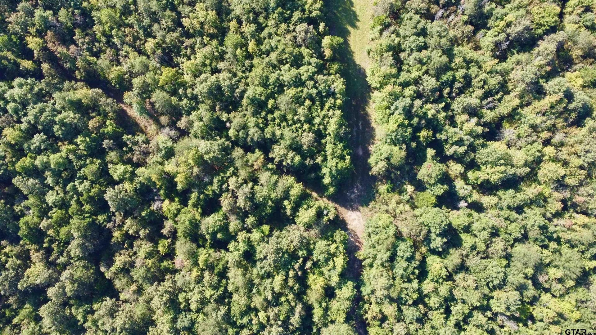 18.18 acres in Cass County gallery image 4