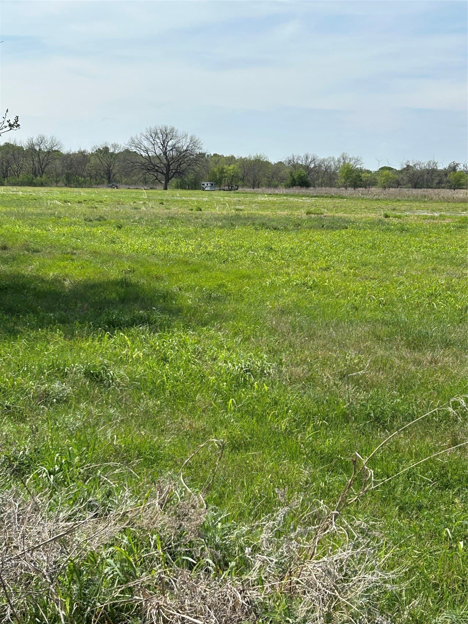 29.15 acres in Erath County - photo 6
