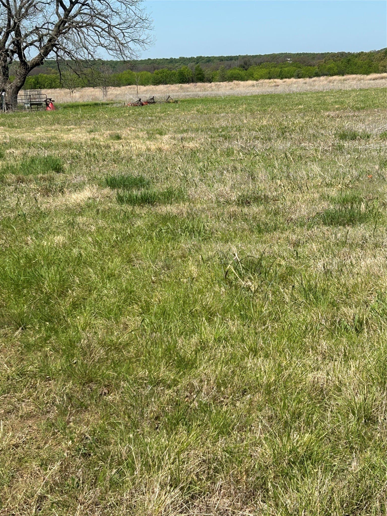 29.15 acres in Erath County - photo 8