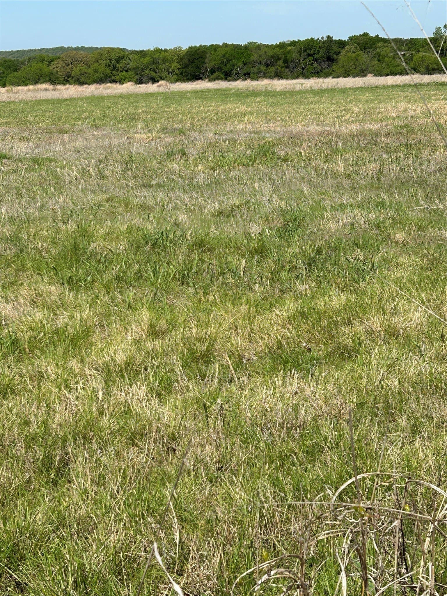 29.15 acres in Erath County - photo 9