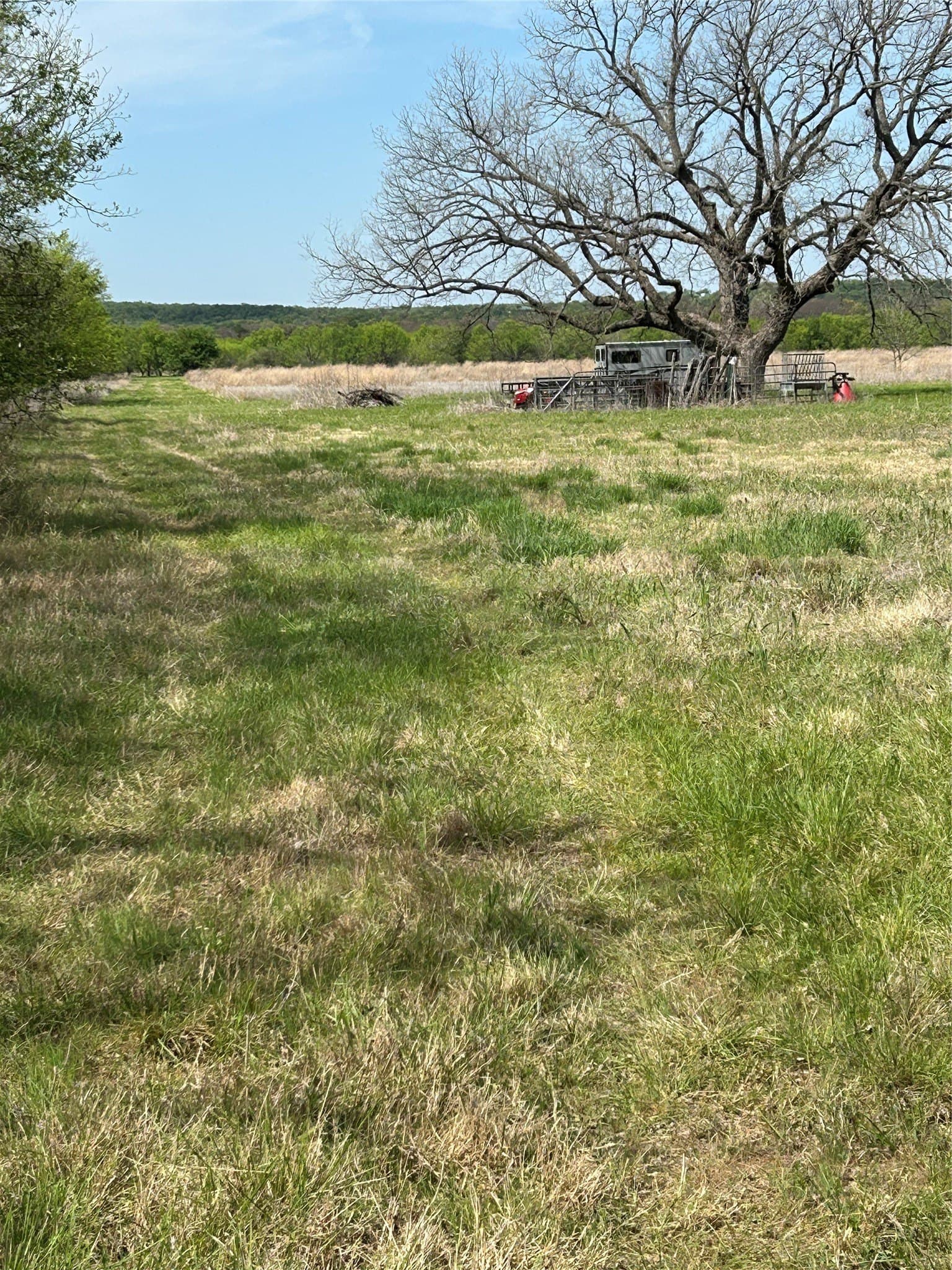 29.15 acres in Erath County - photo 7