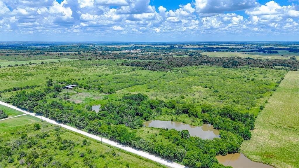 221.8 acres in Navarro County gallery image 3