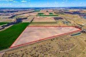 43.93 acres in McLennan County gallery image 3