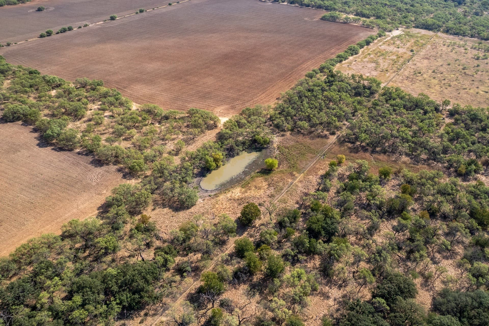 16 acres in Eastland County - photo 24