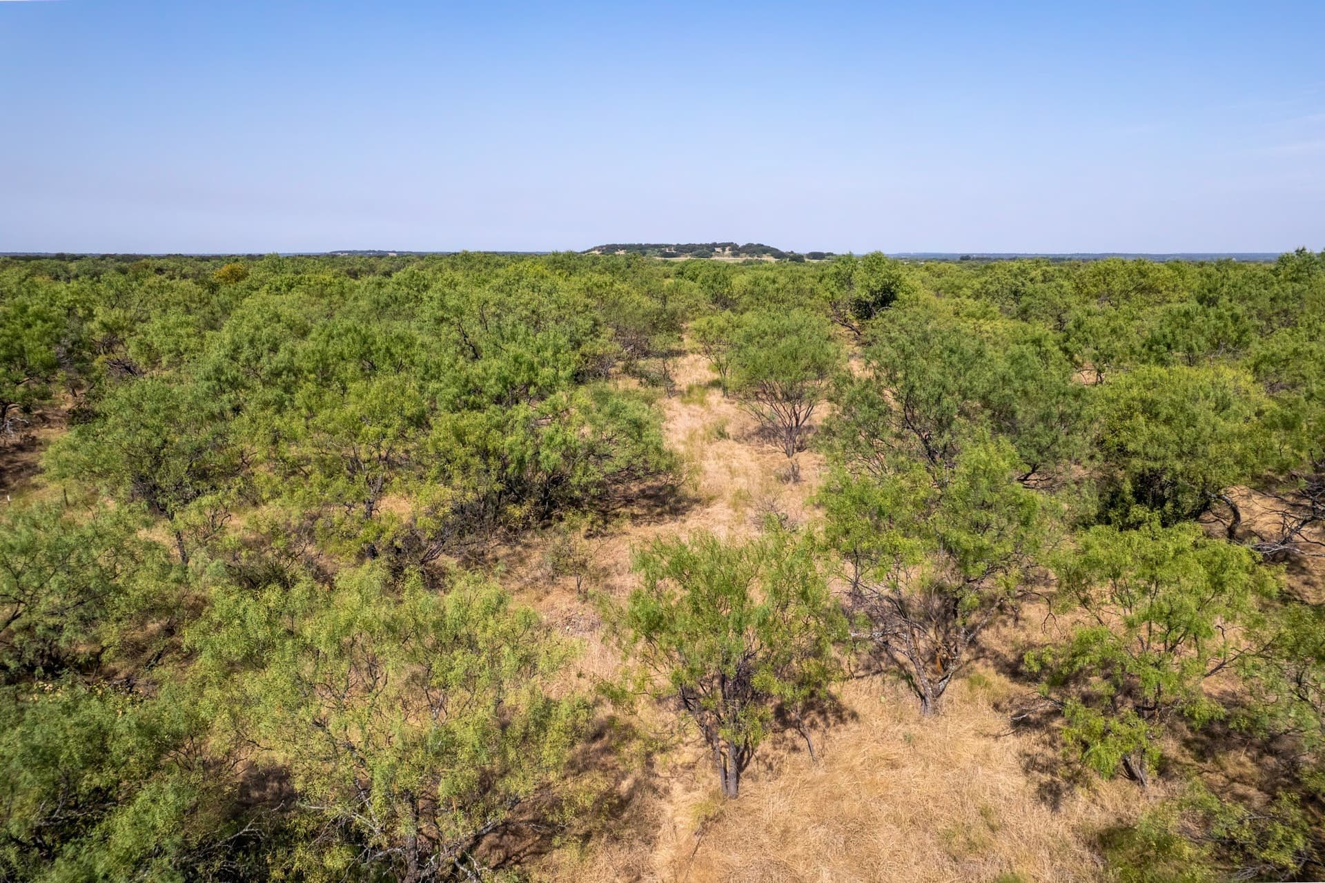 16 acres in Eastland County - photo 26