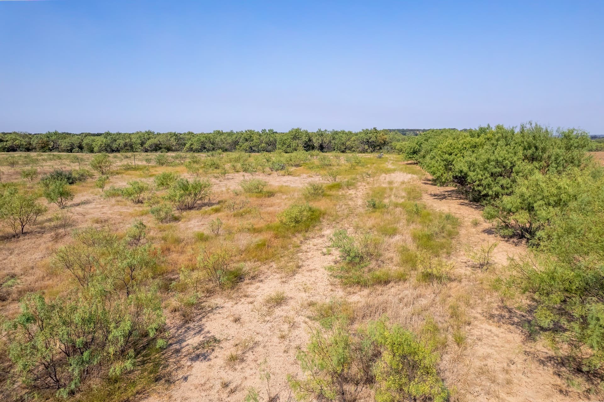 16 acres in Eastland County - photo 13