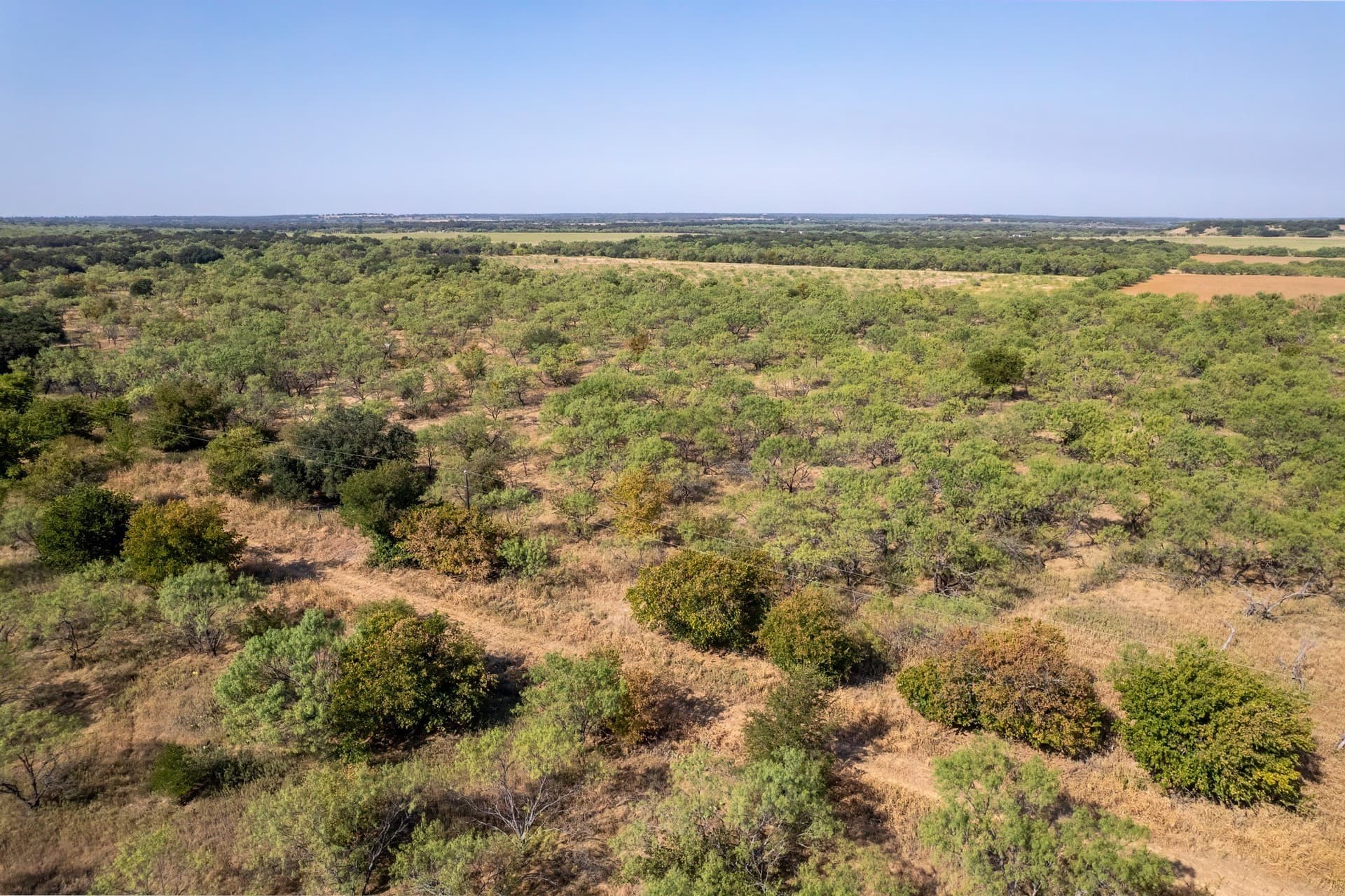 16 acres in Eastland County - photo 8