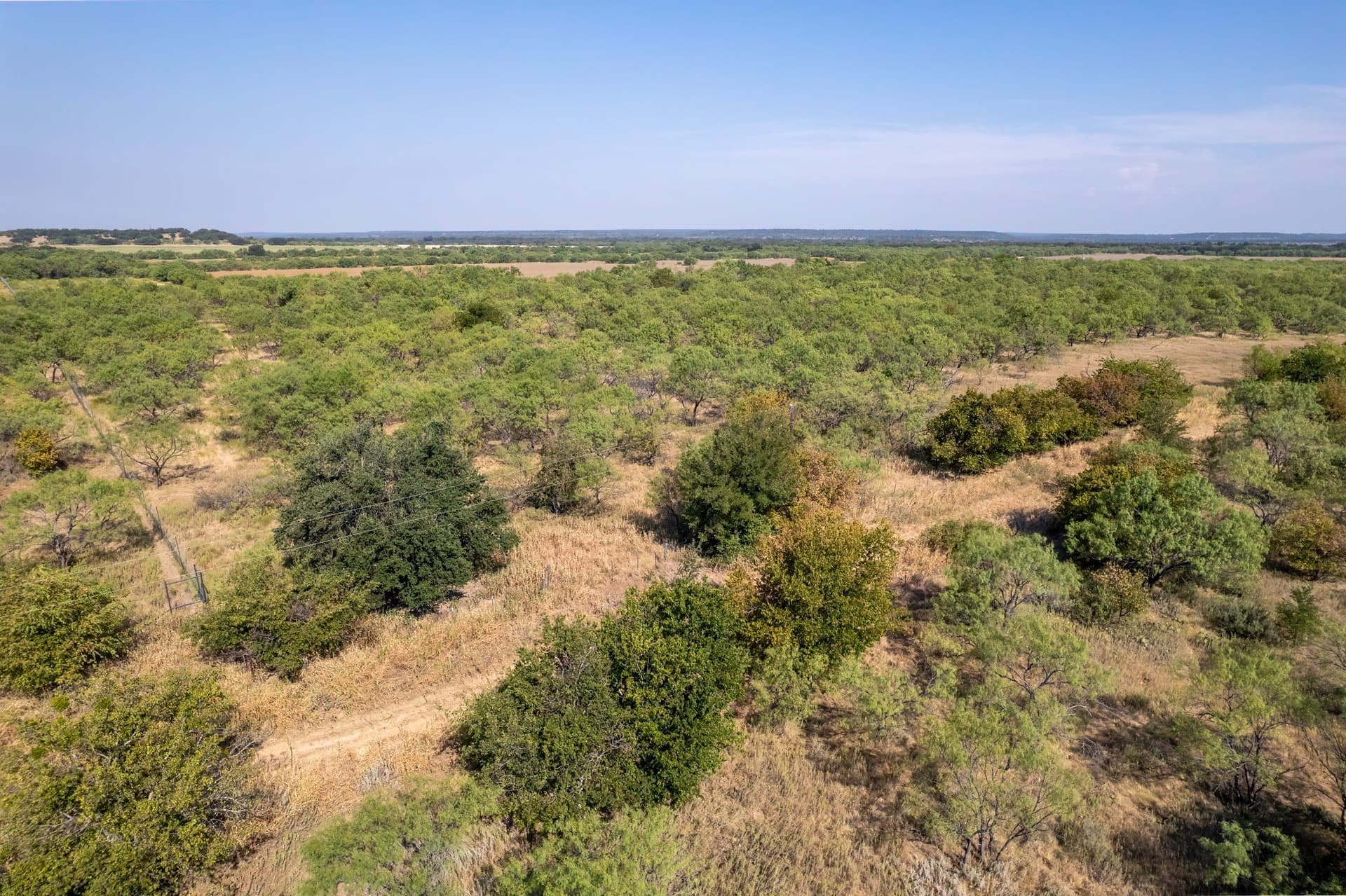 16 acres in Eastland County - photo 6