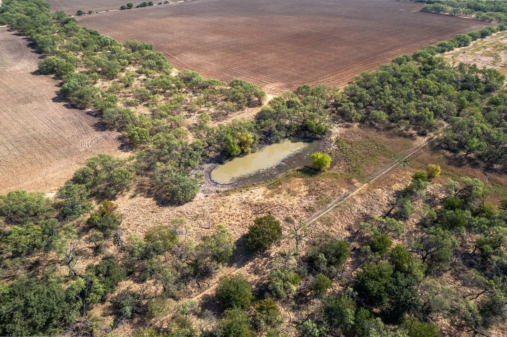 16 acres in Eastland County - photo 25