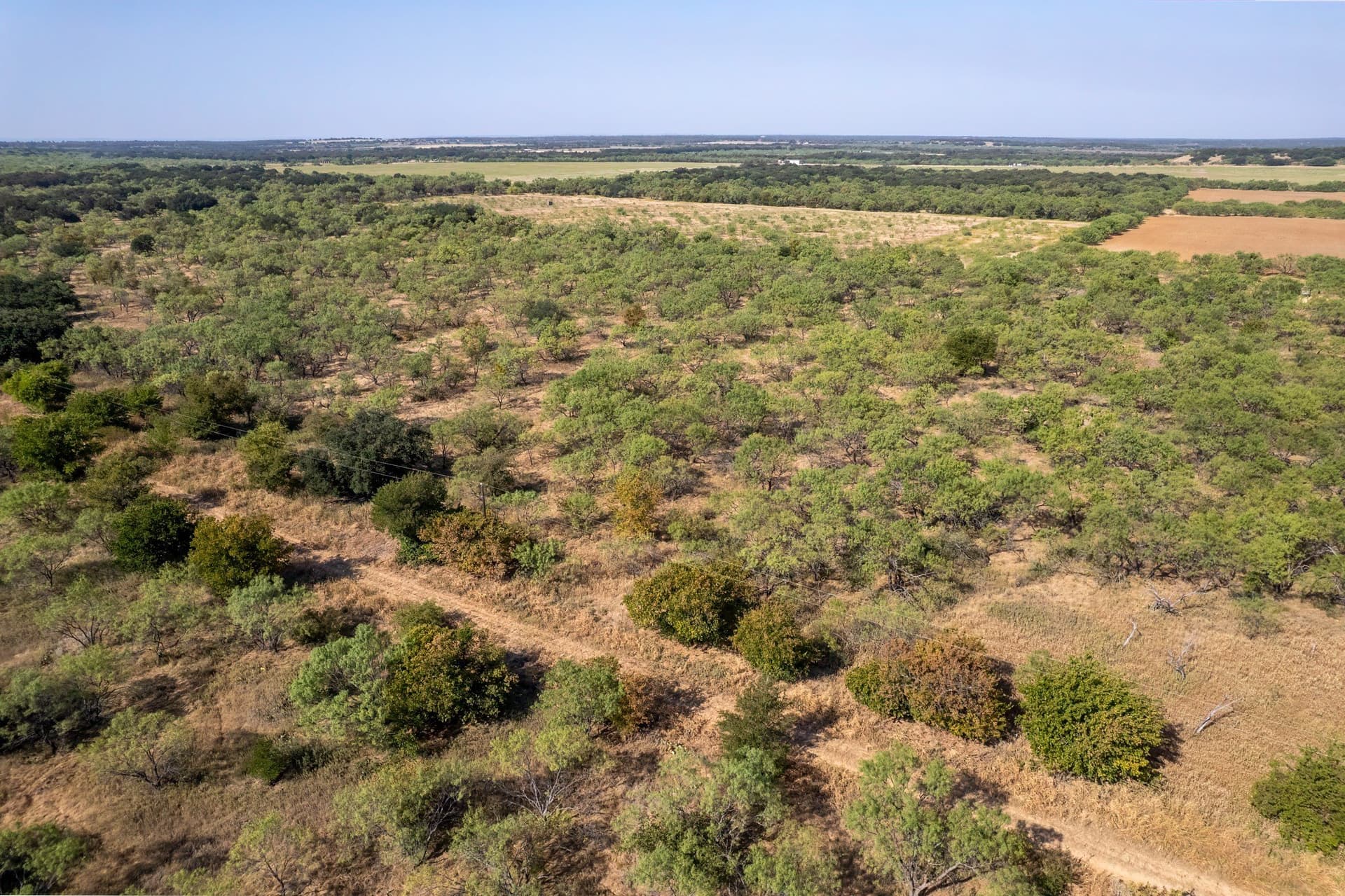 16 acres in Eastland County - photo 9