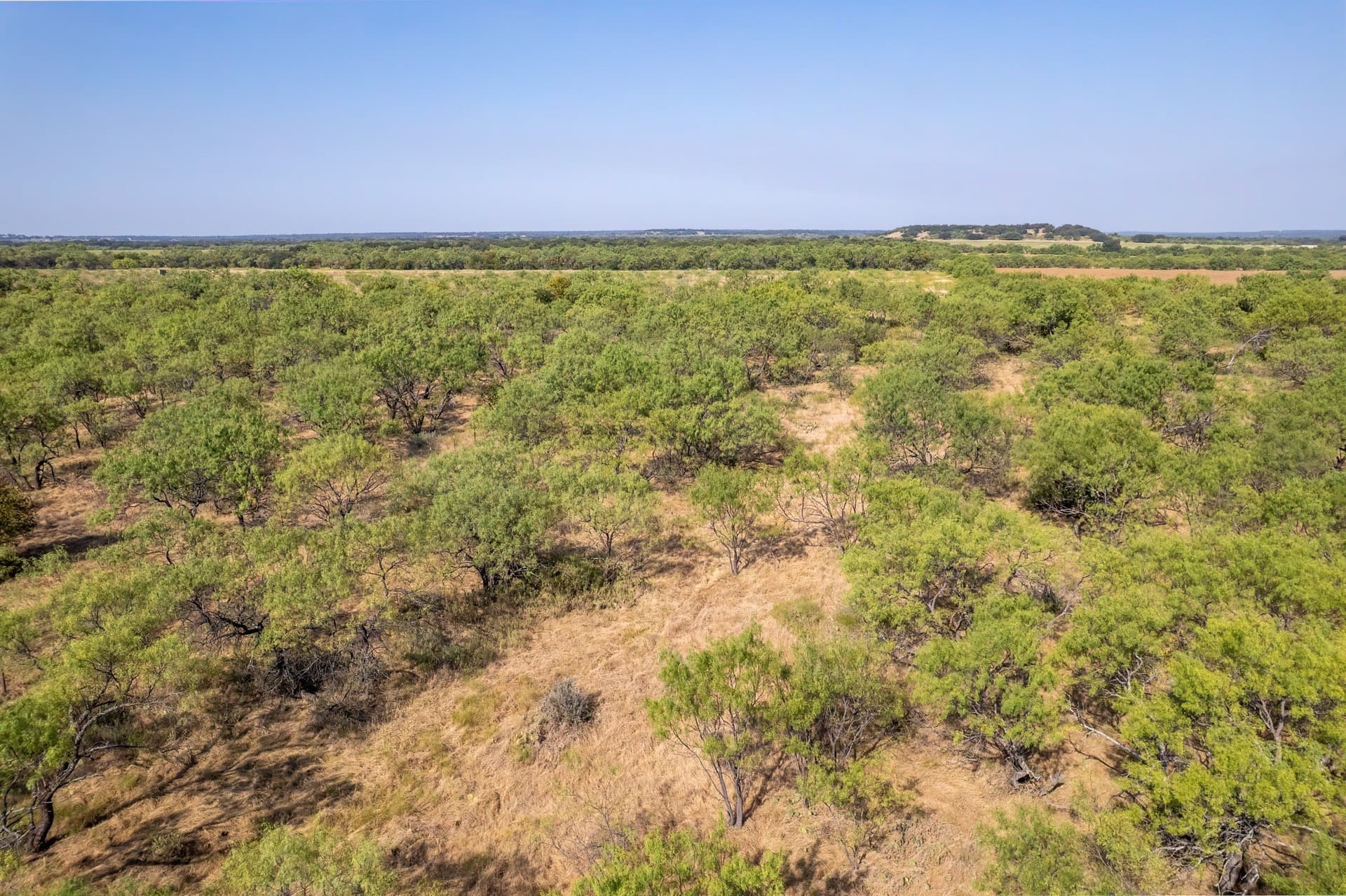 16 acres in Eastland County - photo 10