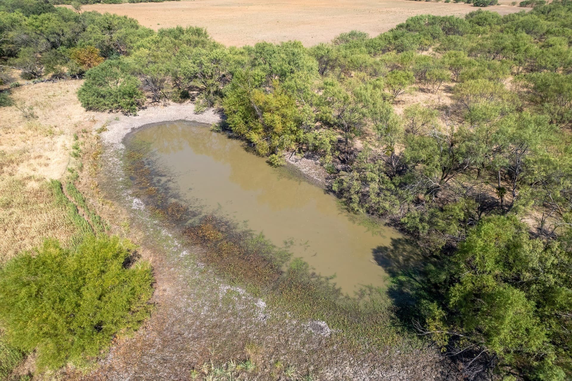 16 acres in Eastland County - photo 29