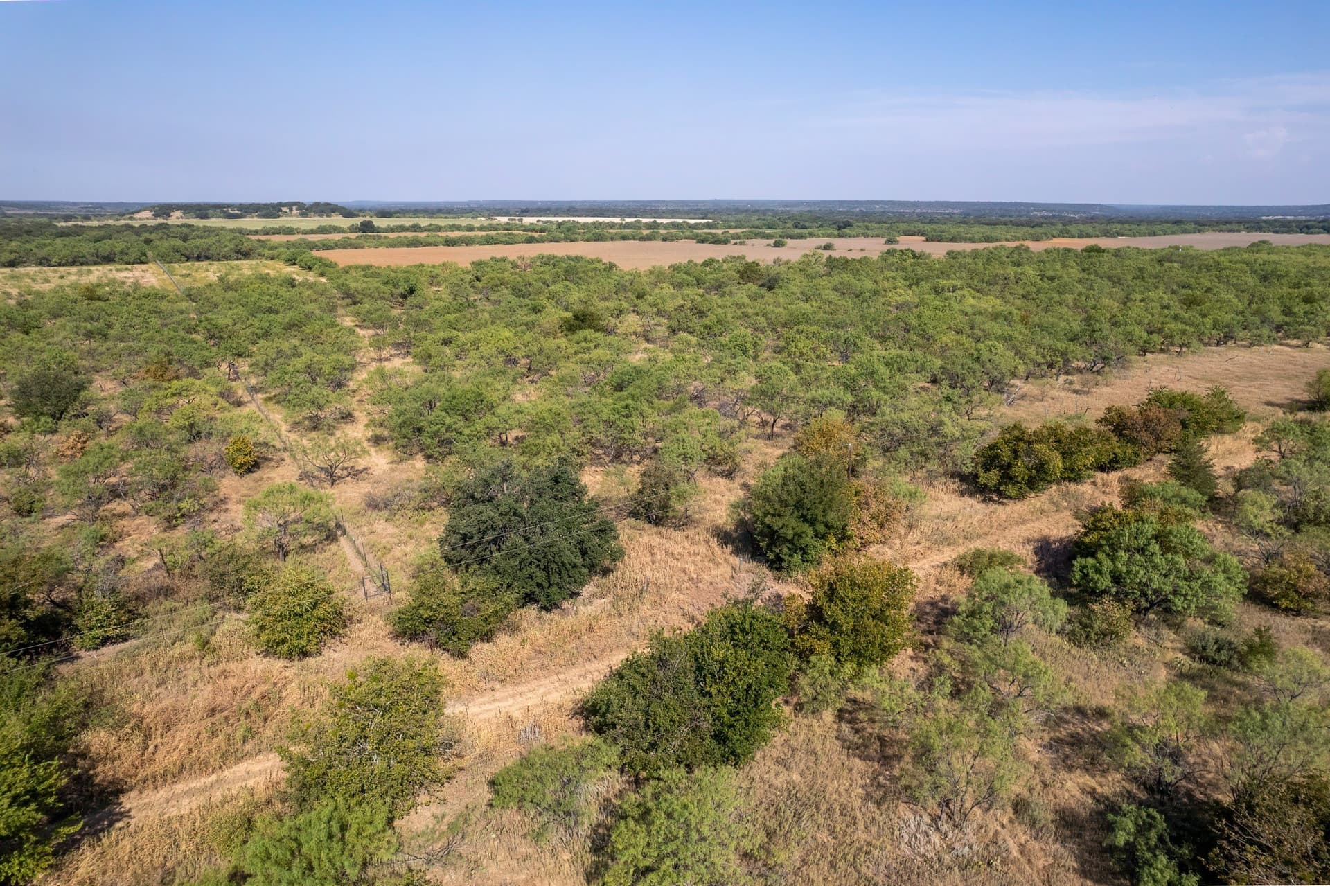 16 acres in Eastland County - photo 5