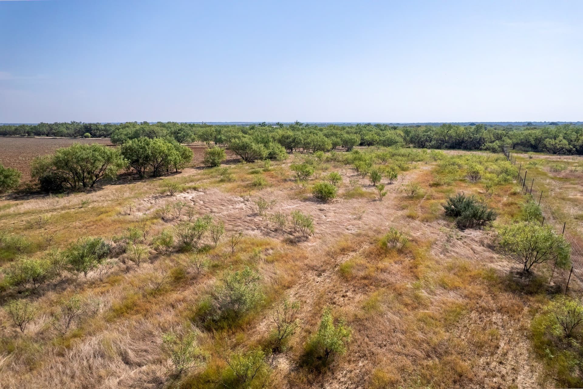 16 acres in Eastland County - photo 17