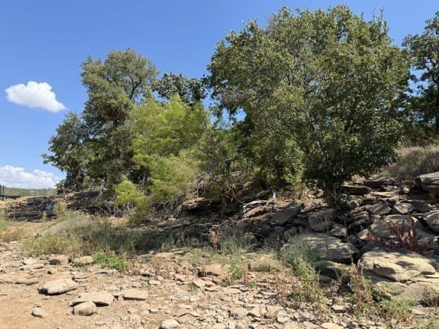 0.37 acres in Montague County - photo 9