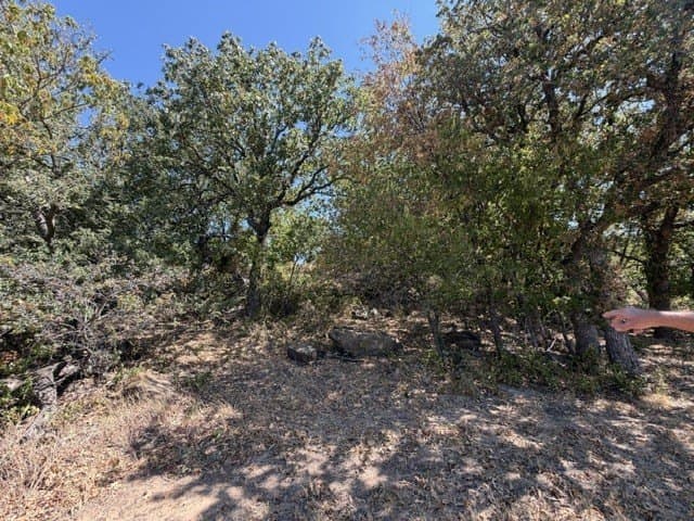 0.37 acres in Montague County - photo 10