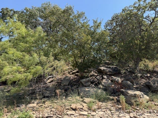 0.37 acres in Montague County - photo 5